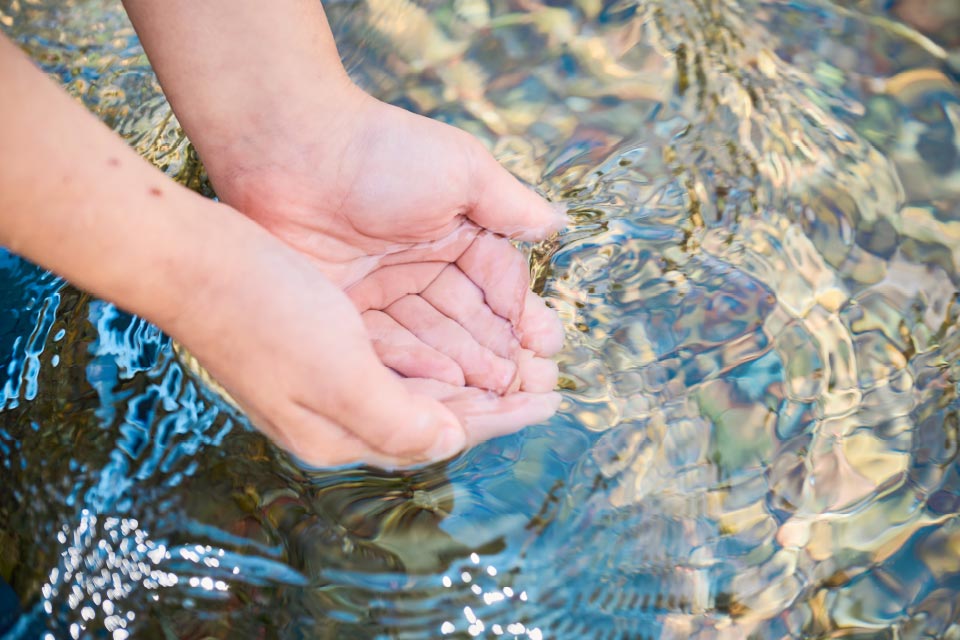 江津湖の水温は年間を通して18度前後と変化が少ないことも特徴