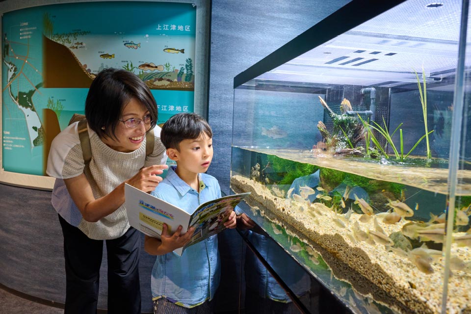 水辺のインフォメーションセンター（市動植物園西門）