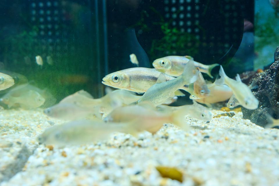 水辺のインフォメーションセンター（市動植物園西門）