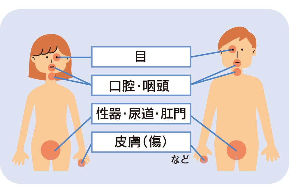 図1 性感染症の感染経路