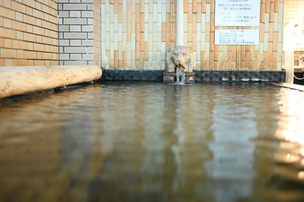 人吉旅館・内湯