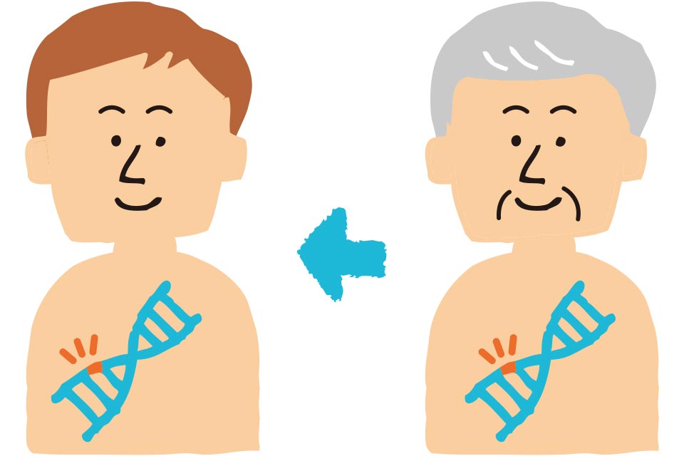 遺伝子や染色体の変化により病気を診断