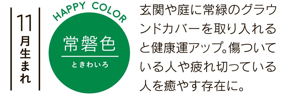 11月生まれ 玄関や庭に常緑のグラウンドカバーを取り入れると健康運アップ。傷ついている人や疲れ切っている人を癒やす存在に。