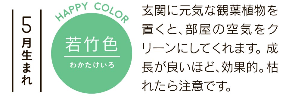 5月生まれ 玄関に元気な観葉植物を置くと、部屋の空気をクリーンにしてくれます。成長が良いほど、効果的。枯れたら注意です。