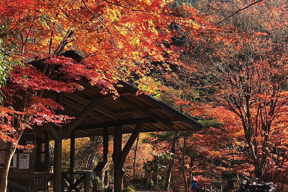 例年11月上旬〜下旬には紅葉狩りに多くの人が訪れます。渓流沿いを進み、落差約15mのかっぱ滝とその脇にある岩モミジを観賞するのもオススメ