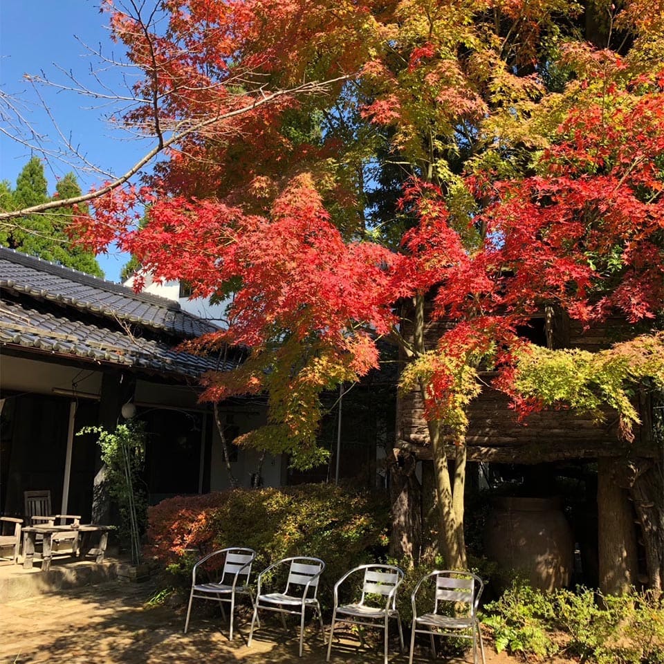 例年、11月上旬〜中旬が庭の紅葉の見頃。時季になると写真愛好家の方も多く訪れるそうです。敷地内のキャンプ場「ひぐらしの森」の散策もオススメ