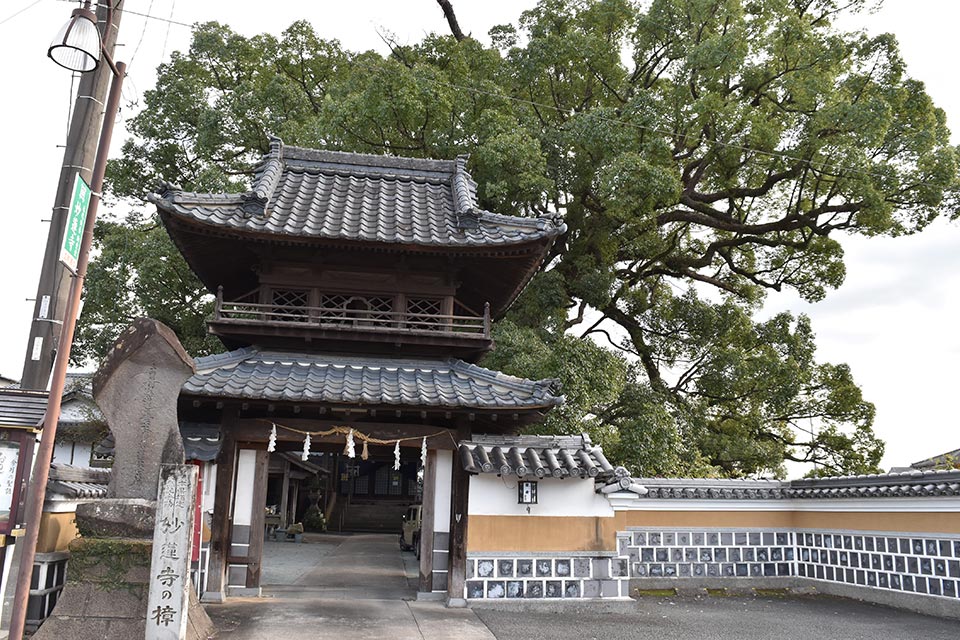 正等山 妙蓮寺（しょうとうざん みょうれんじ）