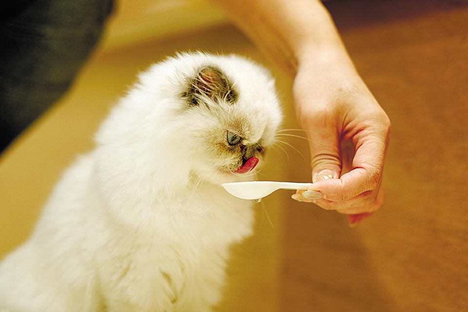 一生懸命おやつを食べる姿にメロメロ