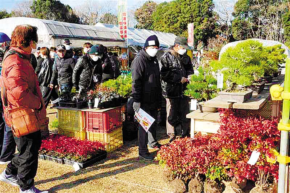 第49回JA植木まつり