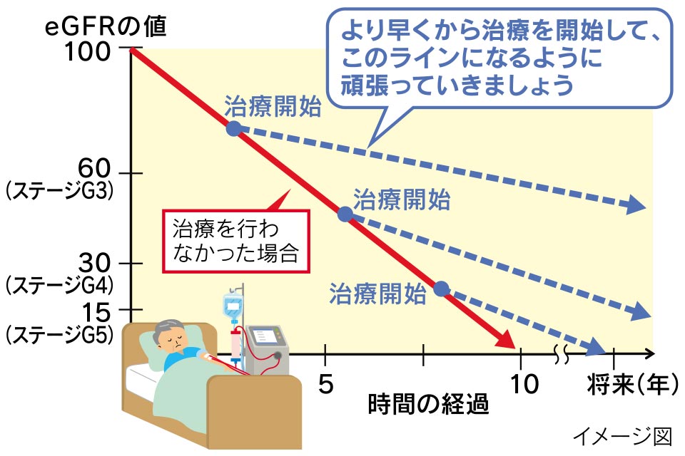 CKDの場合も、ごく早期であれば回復も目指せるかもしれません。ただし、進行後の治療としては落ちてしまった腎機能を維持する、あるいは低下を遅らせることが基本です