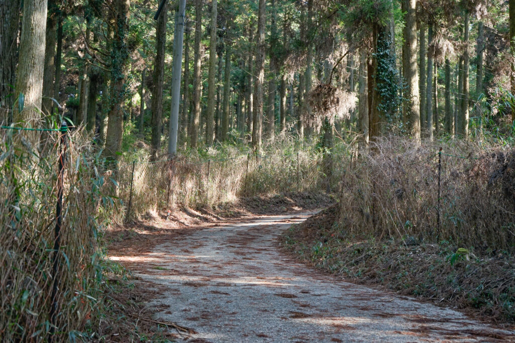「山猫軒」までの道