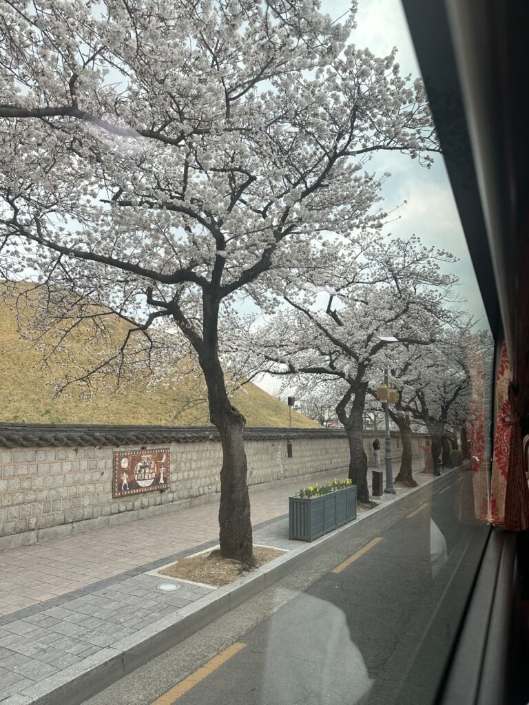 大陵苑