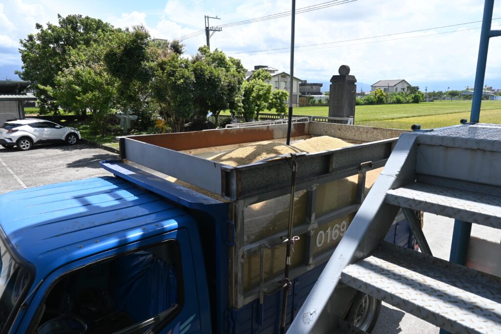 もみを一部採取している様子=6月20日(NNA撮影)