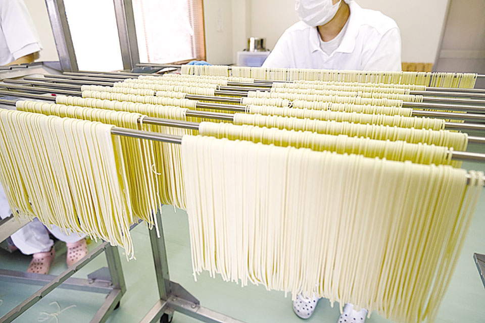 カットした麺は広げながら、ちぎれなどがないか目視で確認