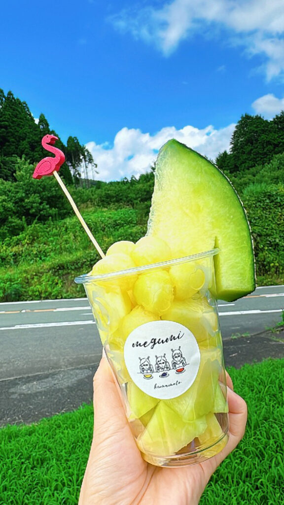 めぐみさんちの農園のカットメロン