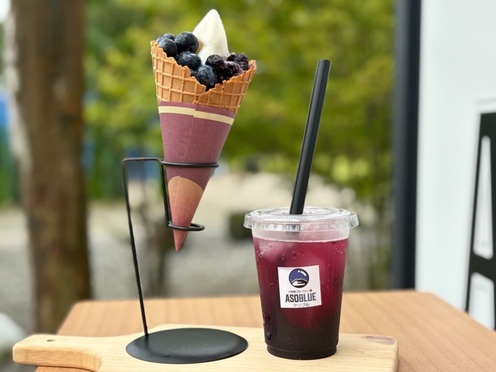 アソブルカフェのアソブルソフトとブルーベリースカッシュ
