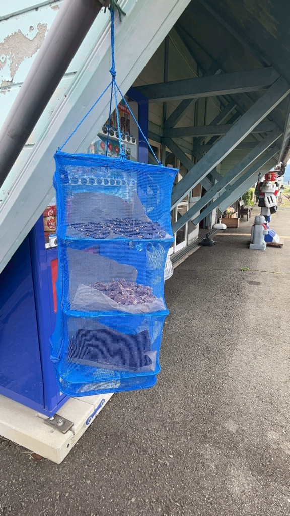 中松駅ホームで干されている琥珀糖