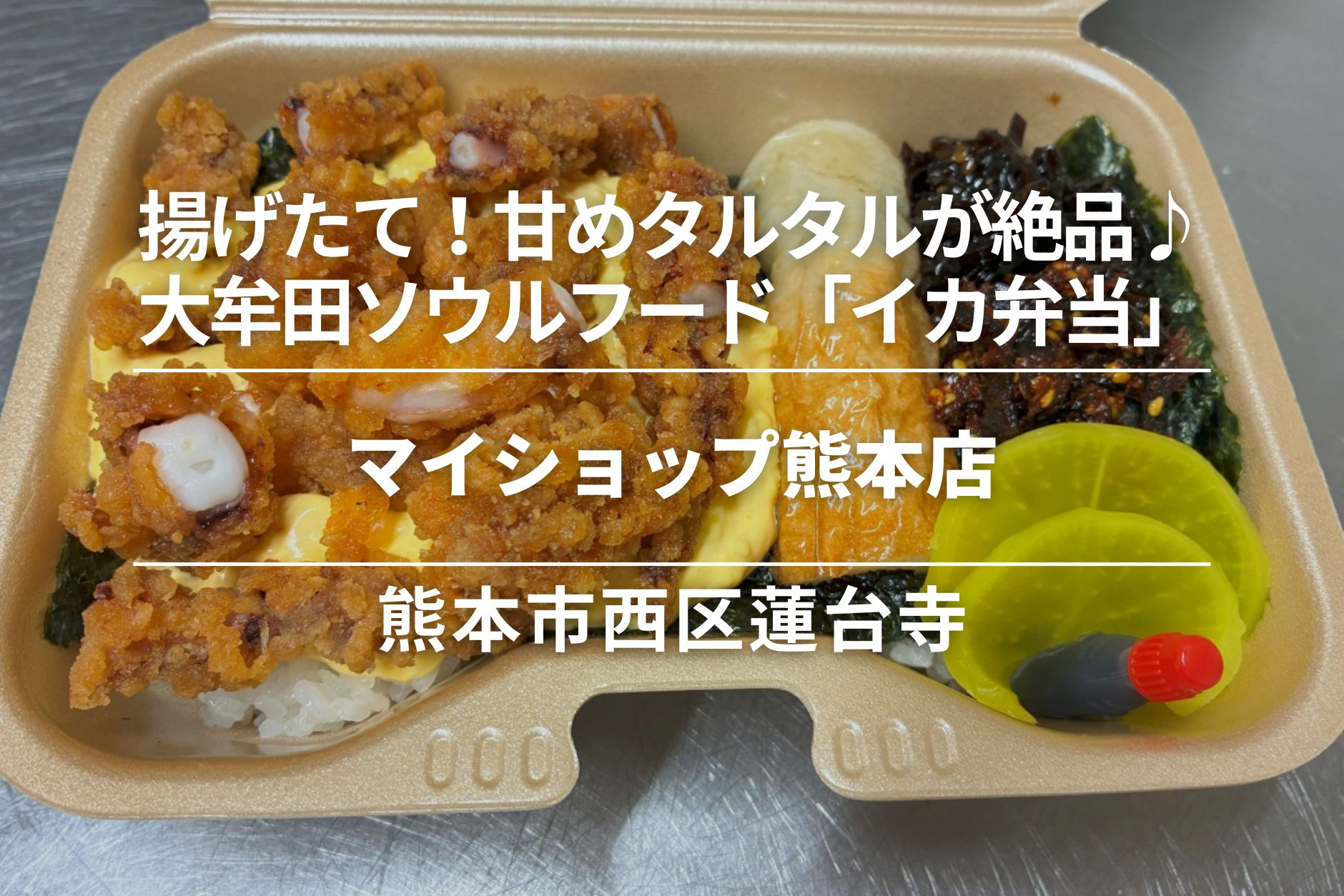 マイショップ熊本店・西区蓮台寺│揚げたて!甘めタルタルが絶品♪大牟田ソウルフード「イカ弁当」
