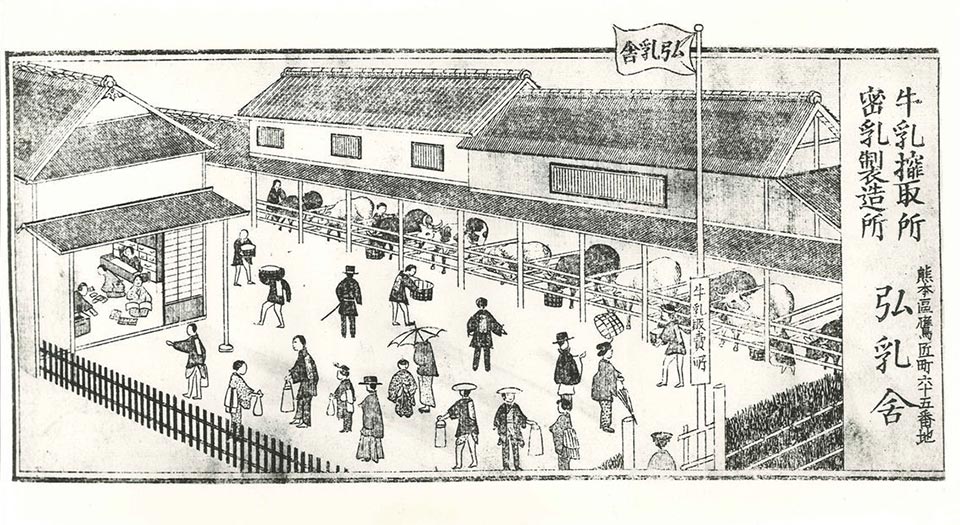 「弘乳舎」の明治時代の新聞広告。店舗のすぐ隣が牛舎という鮮度抜群の牛乳屋さんです