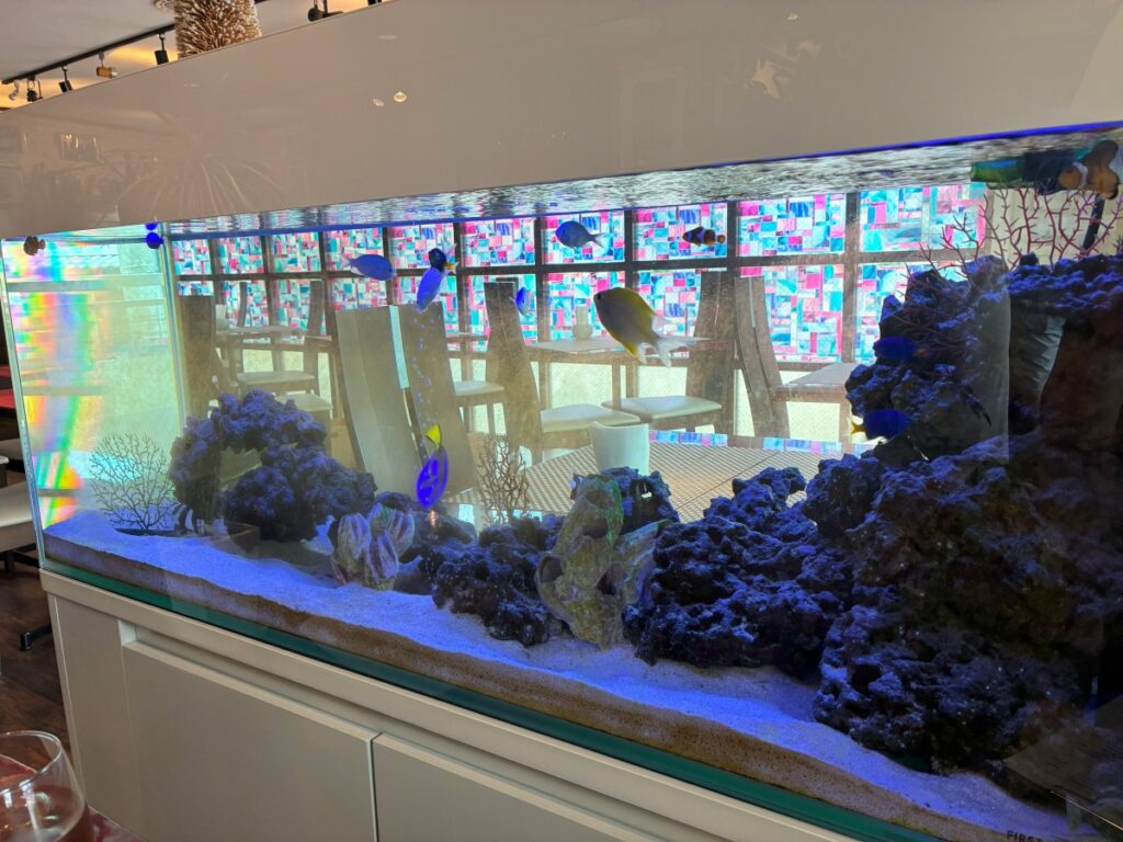 trattoria OGGI店内にある水槽