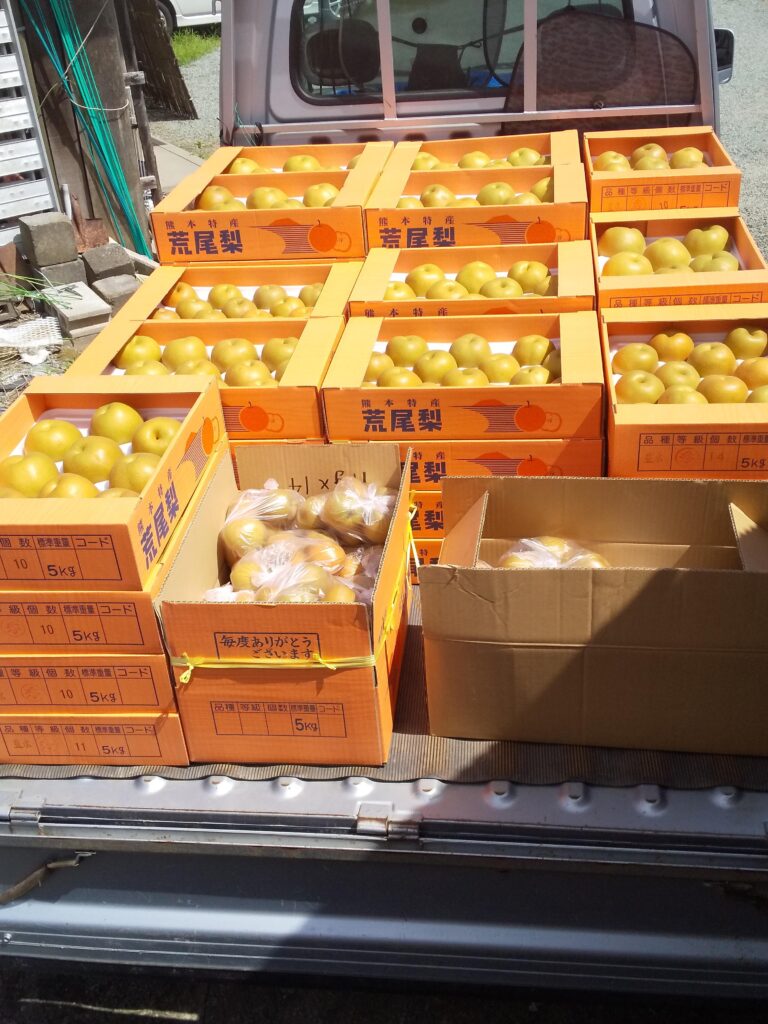 箱詰めされた梨がトラックの荷台に積まれている