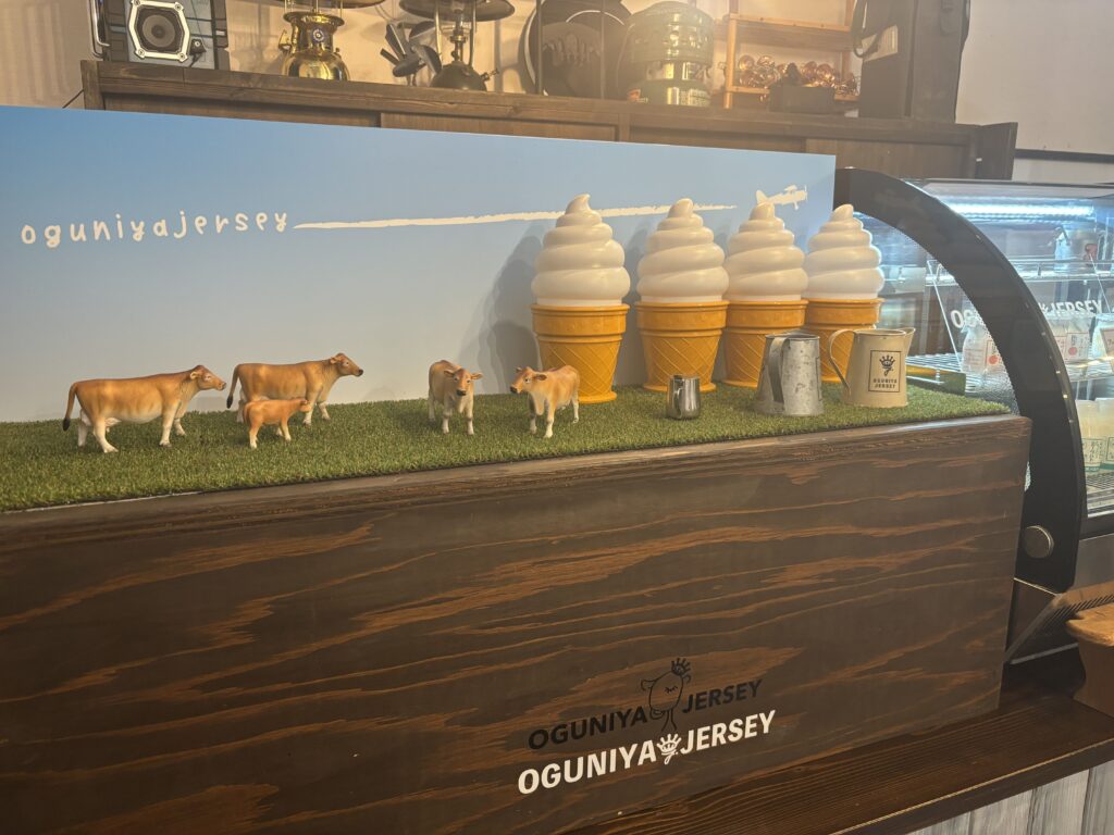 OGUNIYA JERSEY 内観