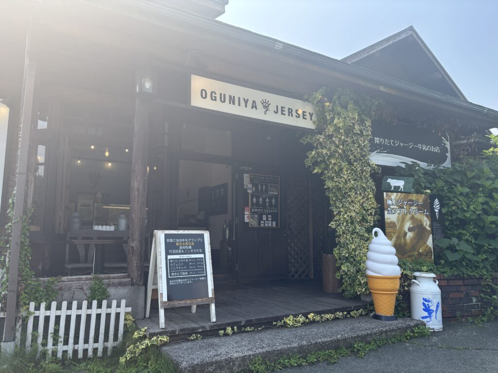 OGUNIYA JERSEY 外観