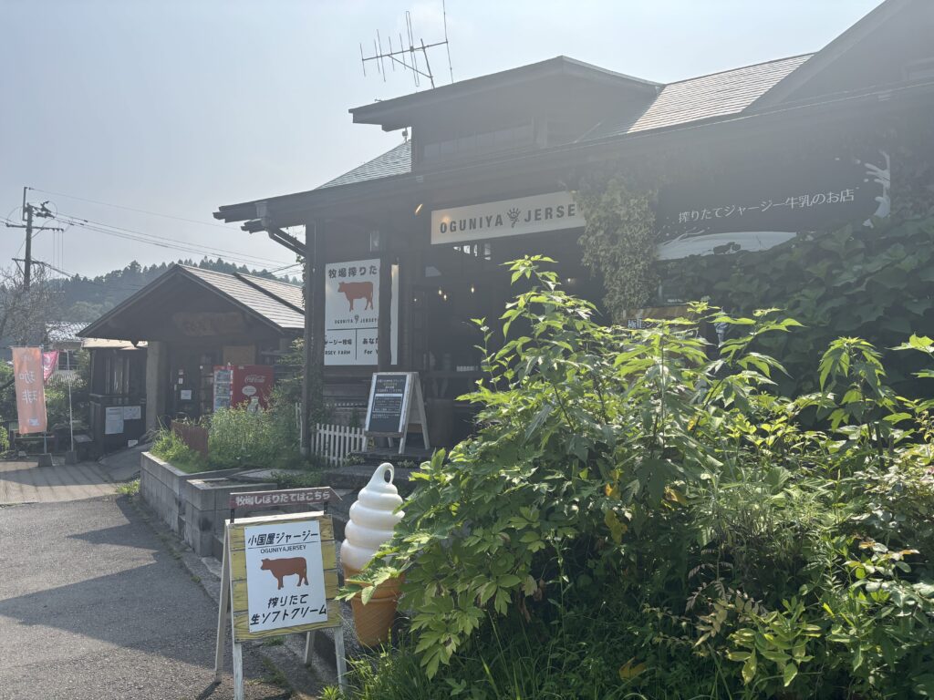 OGUNIYA JERSEY 外観
