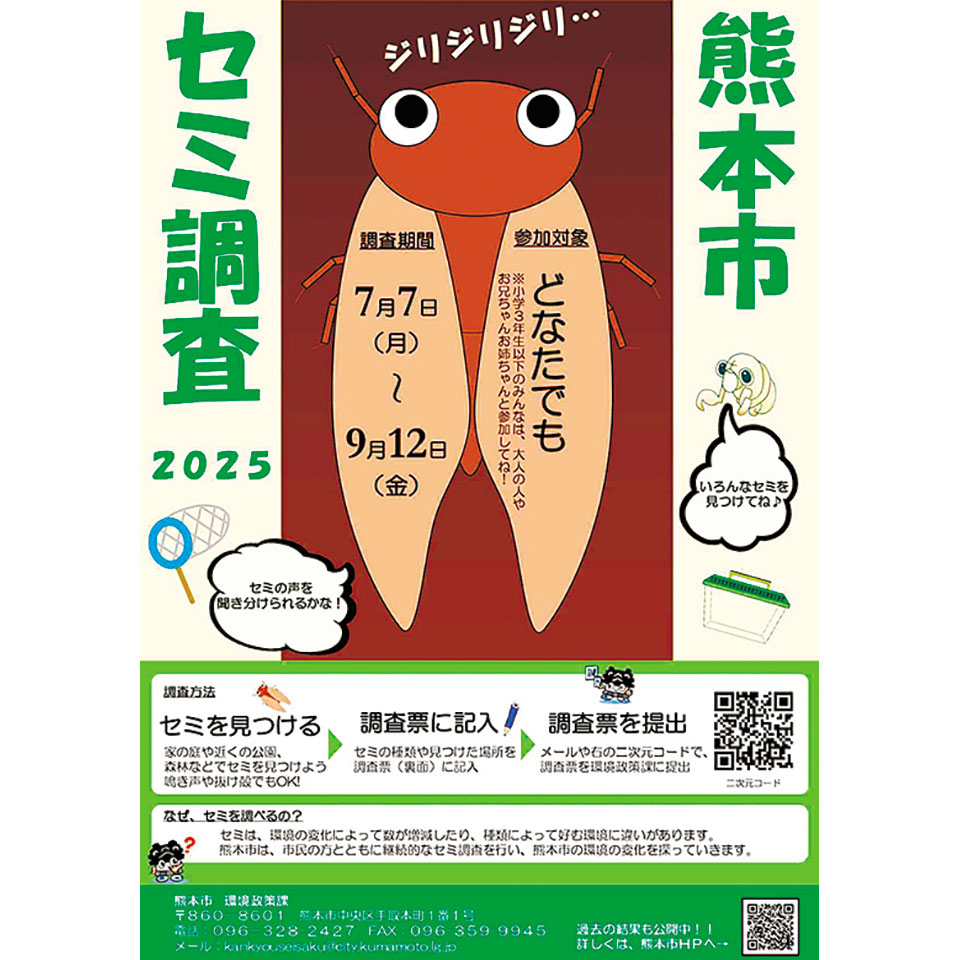 熊本市セミ調査2025