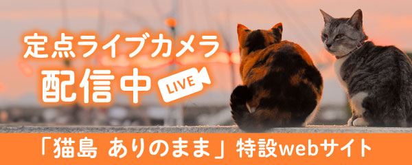 猫島 ありのまま 定点ライブカメラ配信中