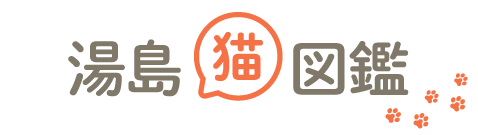 湯島猫図鑑