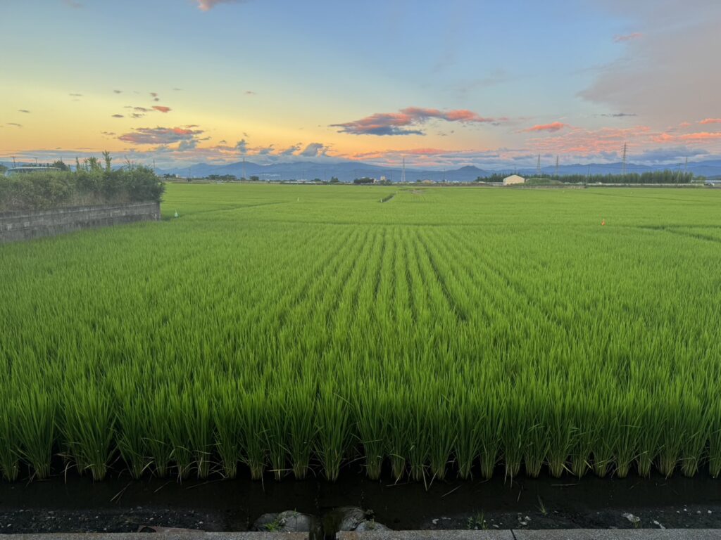 芳文から見た田園風景