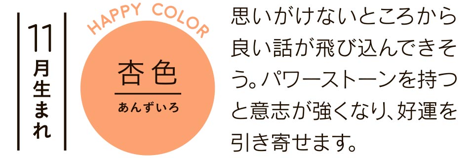 11月生まれ 杏色 思いがけないところから良い話が飛び込んできそう。パワーストーンを持つと意志が強くなり、好運を引き寄せます。