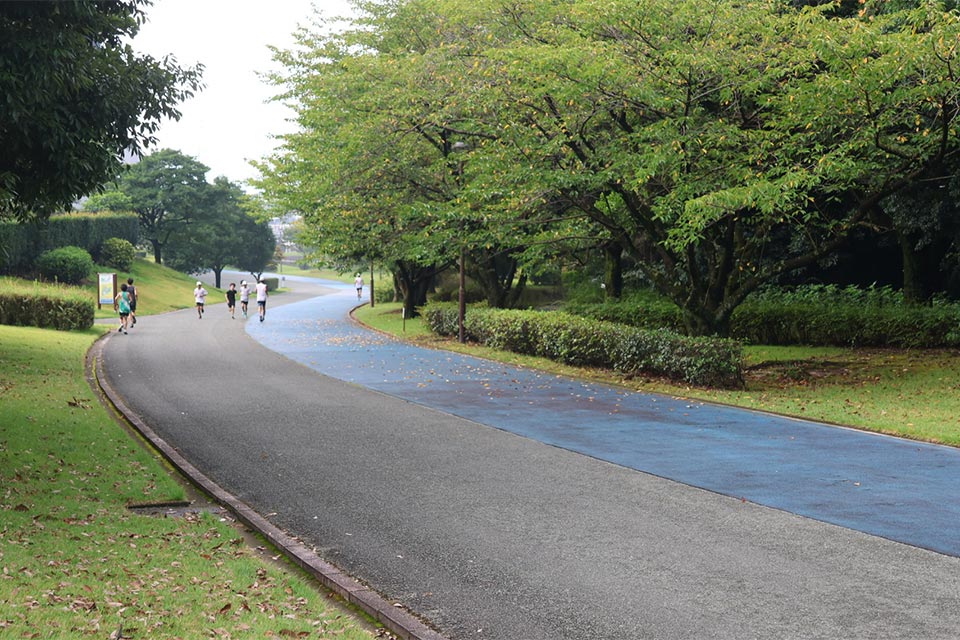 補助競技場を過ぎると、あとはスタジアムまで緩やかな下り坂。リレーゾーンで待つ仲間のところまで残った力を出し切りましょう！