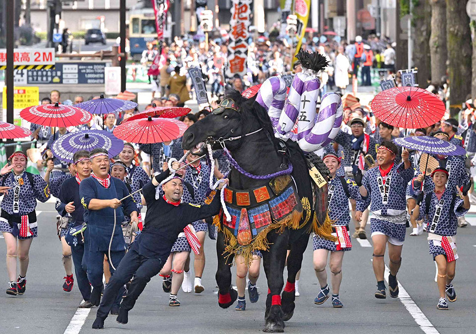 藤崎八旛宮例大祭