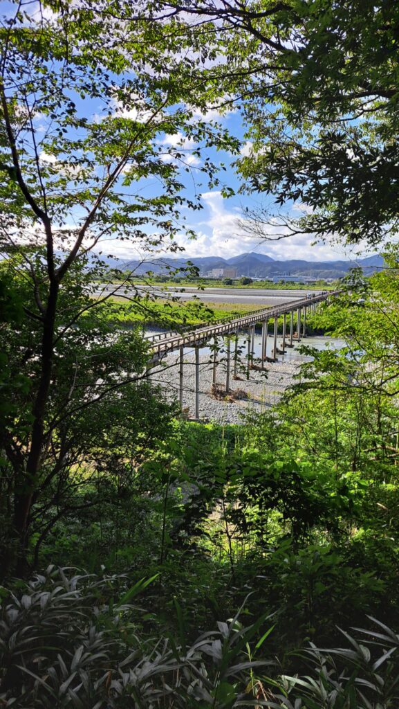 蓬莱橋を対岸から見た景色