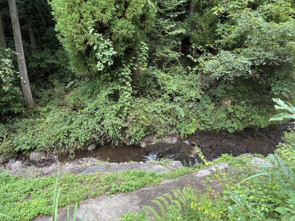 溶岩石窯ピッツァ轍 景色