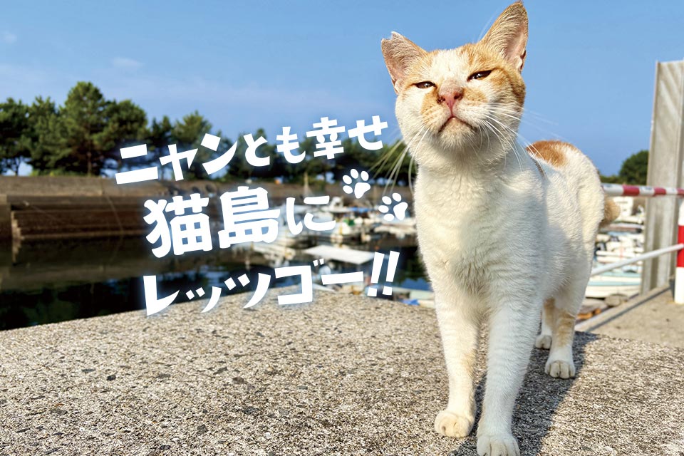 ニャンとも幸せ 猫島にレッツゴー!!
