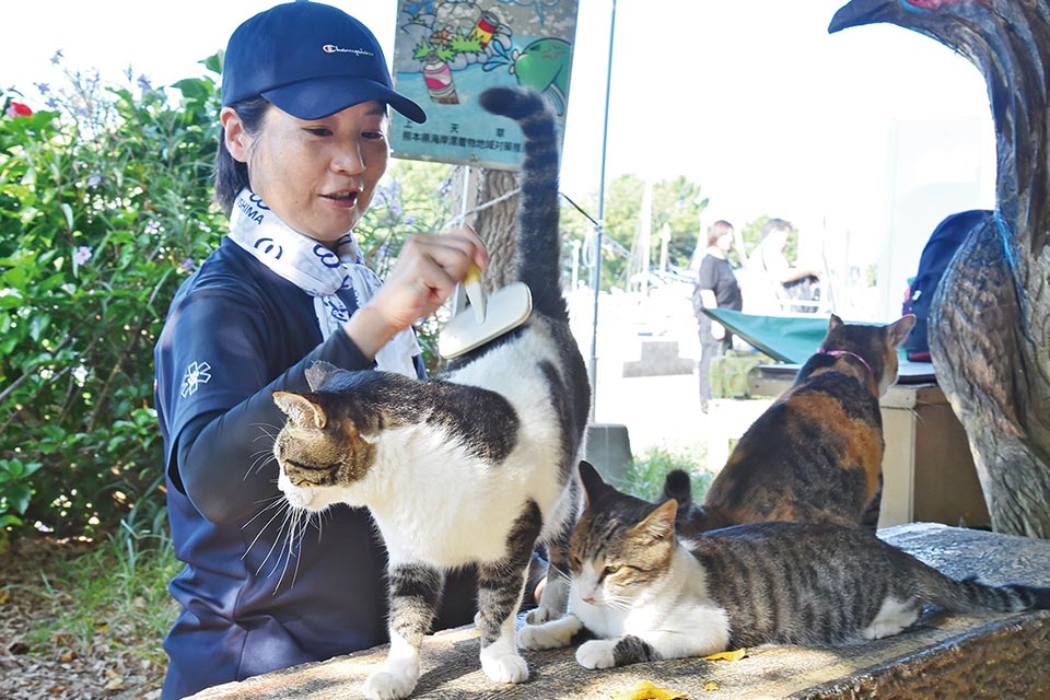 地域おこし協力隊として2019年に来島したキャットケアスペシャリストの林愛子さん(47)