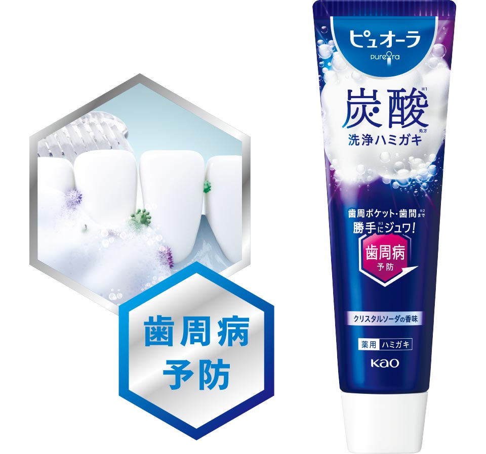【医薬部外品】販売名:ピュオーラZKa歯周病(歯肉炎・歯周炎)・むし歯予防