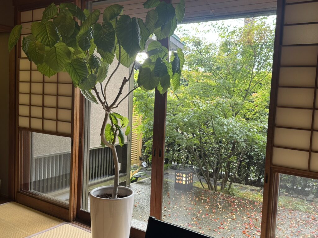 だご汁茶寮 ここのつから見える景色