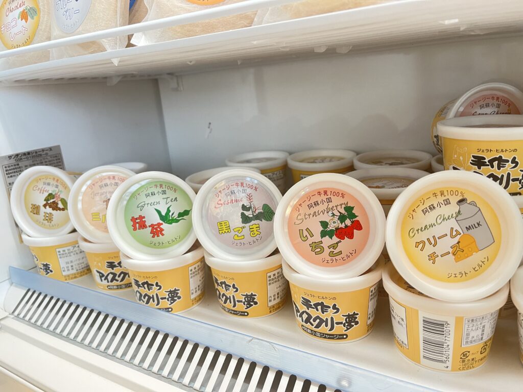 手作りアイスクリーム夢のパッケージ