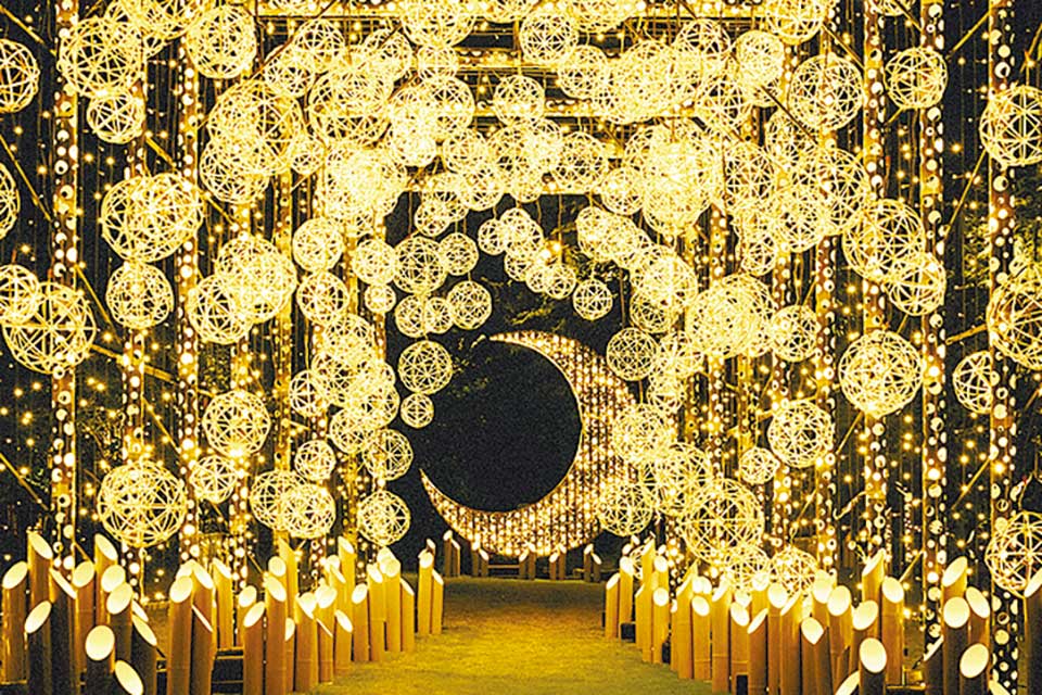 かぐや姫の光る庭 第二章