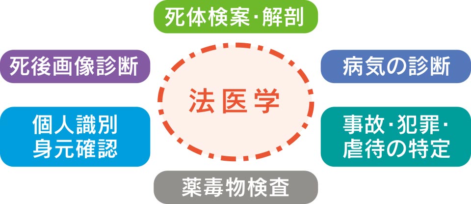 ［図］法医学の多様なミッション