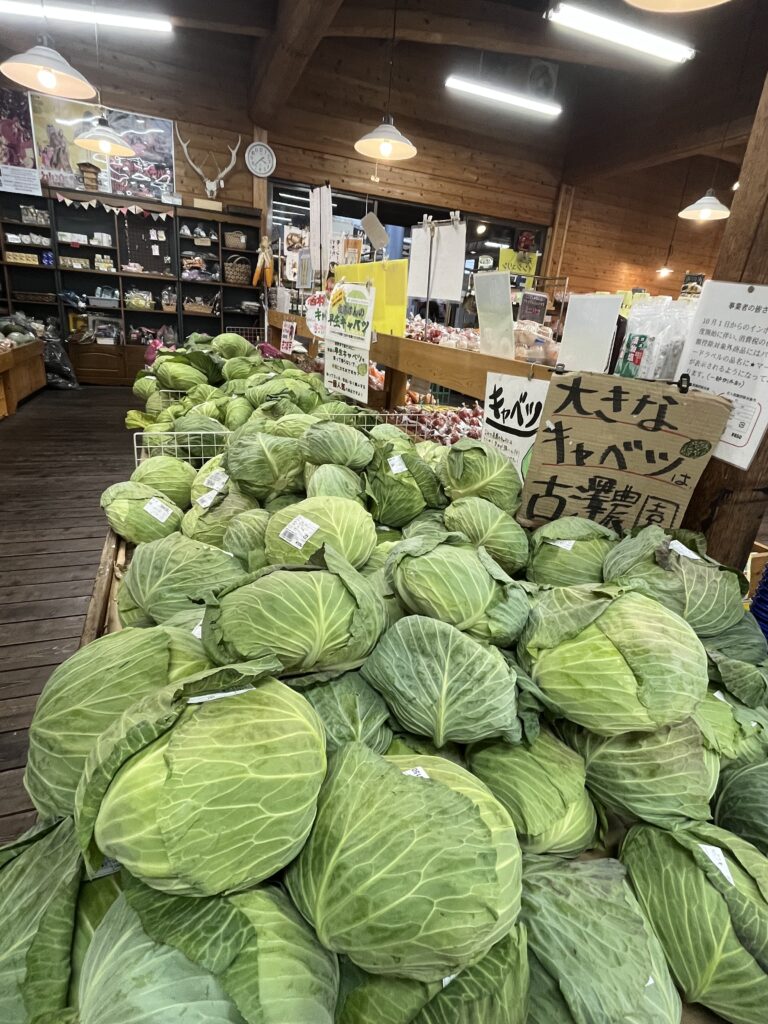 大量のキャベツ