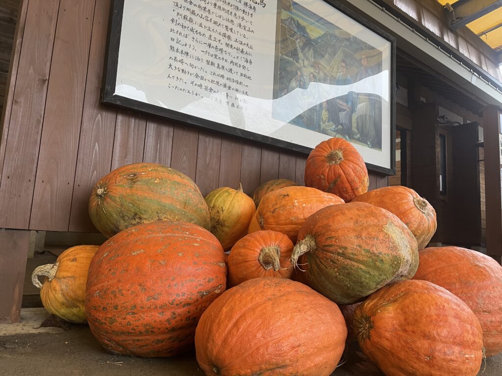 大きなカボチャ