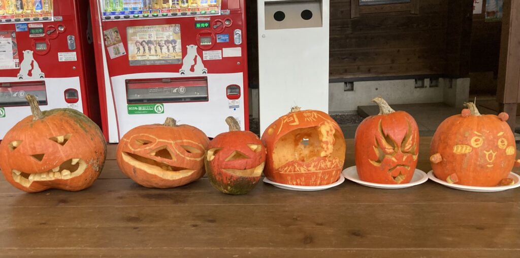 カボチャが並んでる