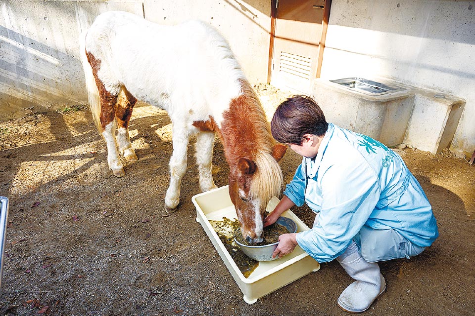 「動物ふれあい広場」担当の南部紋子さん
