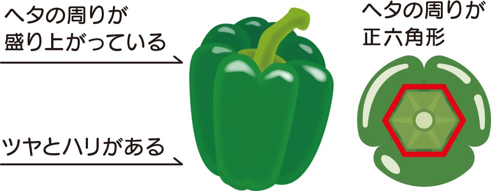 ヘタの周りが盛り上がっている、ツヤとハリがある、ヘタの周りが正六角形