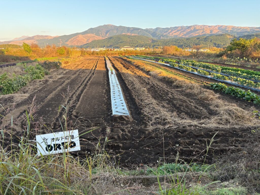 畑のキッチンORTOの畑